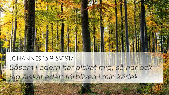Johannes 15:9 SV1917 Bible Verse Image
