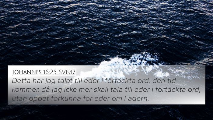 Johannes 16:25 SV1917 Bible Verse Image