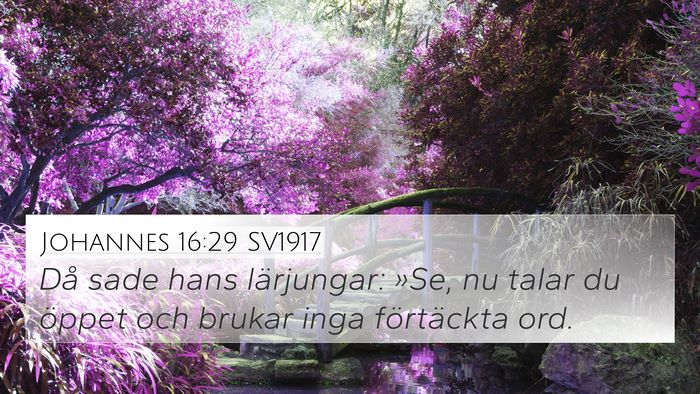 Johannes 16:29 SV1917 Bible Verse Image