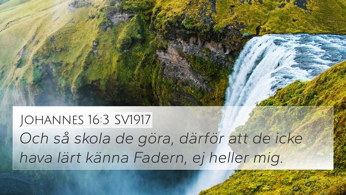 Johannes 16:3 SV1917 Bible Verse Image