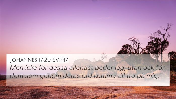 Johannes 17:20 SV1917 Bible Verse Image