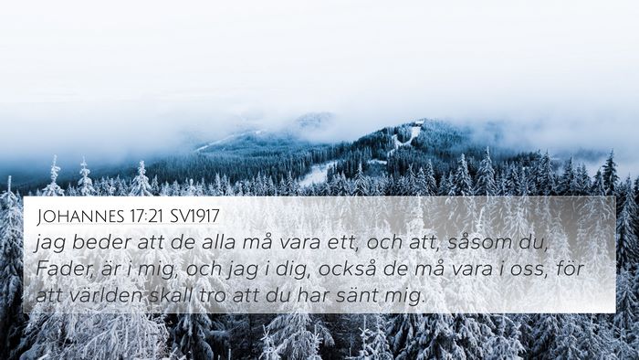 Johannes 17:21 SV1917 Bible Verse Image