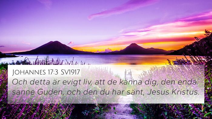Johannes 17:3 SV1917 Bible Verse Image