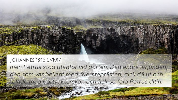 Johannes 18:16 SV1917 Bible Verse Image