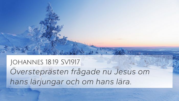 Johannes 18:19 SV1917 Bible Verse Image