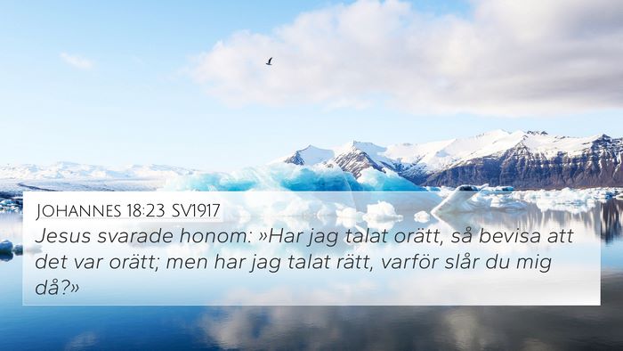 Johannes 18:23 SV1917 Bible Verse Image