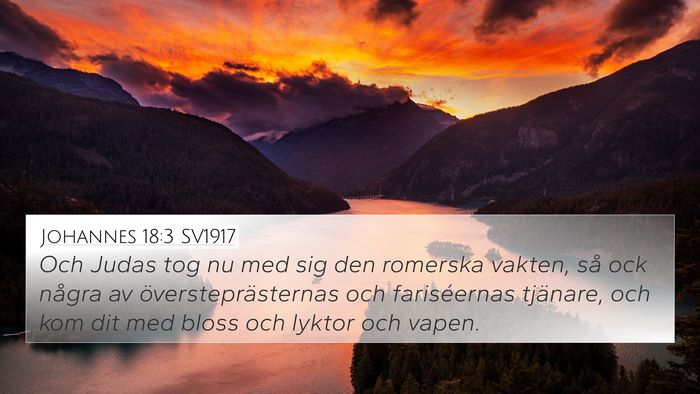 Johannes 18:3 SV1917 Bible Verse Image