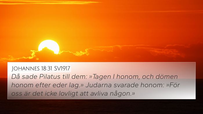 Johannes 18:31 SV1917 Bible Verse Image
