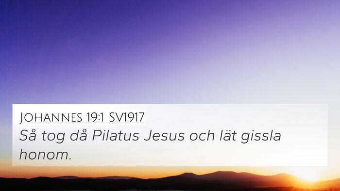 Johannes 19:1 SV1917 Bible Verse Image