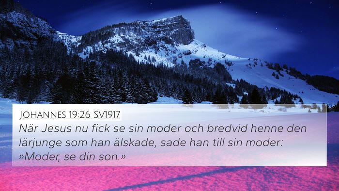 Johannes 19:26 SV1917 Bible Verse Image