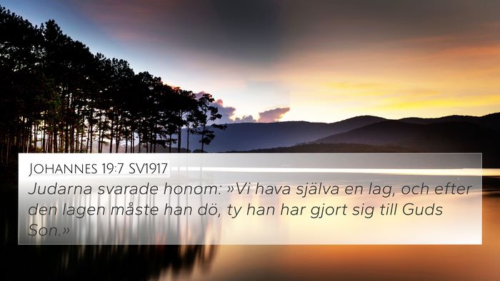 Johannes 19:7 SV1917 Bible Verse Image