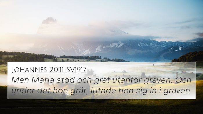 Johannes 20:11 SV1917 Bible Verse Image