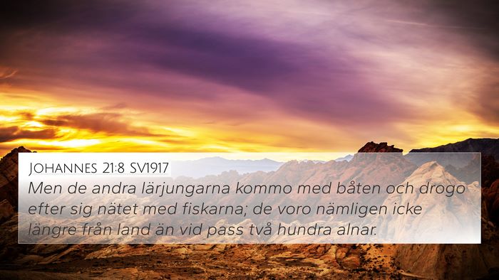 Johannes 21:8 SV1917 Bible Verse Image