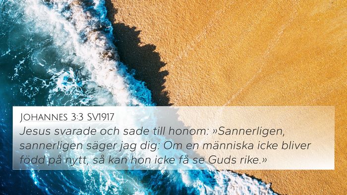 Johannes 3:3 SV1917 Bible Verse Image