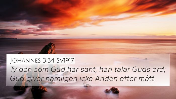 Johannes 3:34 SV1917 Bible Verse Image