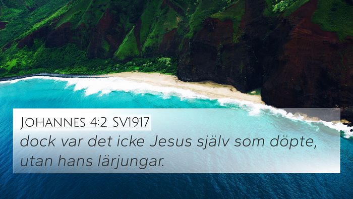 Johannes 4:2 SV1917 Bible Verse Image