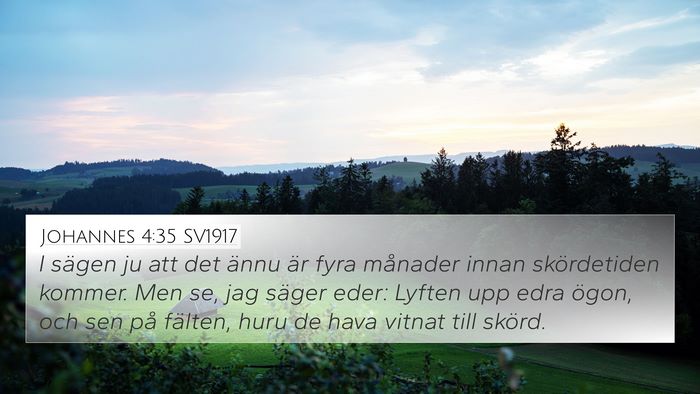 Johannes 4:35 SV1917 Bible Verse Image