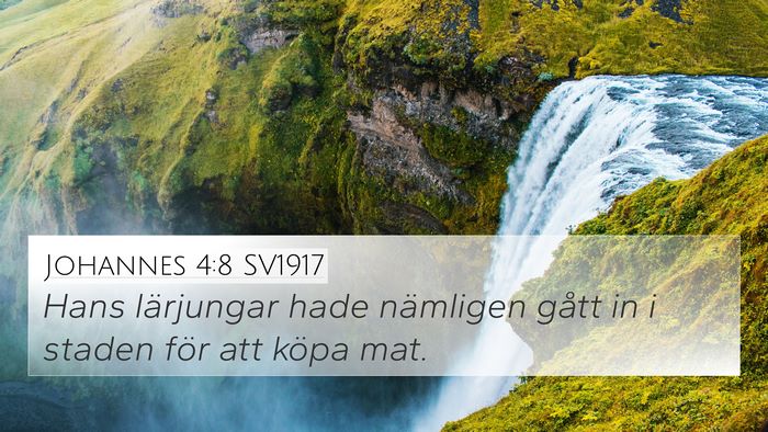 Johannes 4:8 SV1917 Bible Verse Image