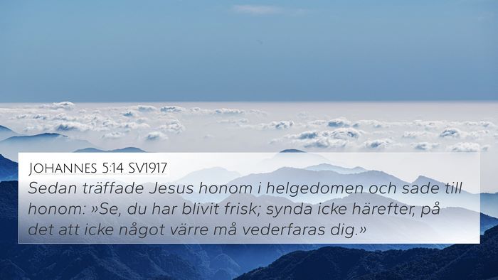 Johannes 5:14 SV1917 Bible Verse Image