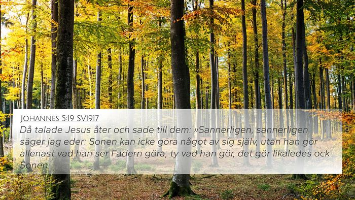 Johannes 5:19 SV1917 Bible Verse Image