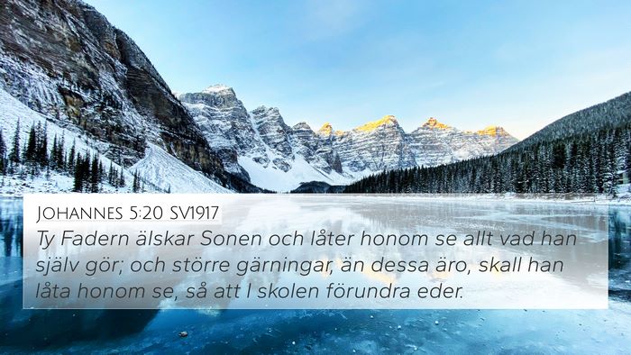 Johannes 5:20 SV1917 Bible Verse Image