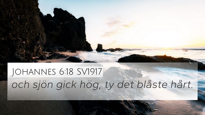 Johannes 6:18 SV1917 Bible Verse Image