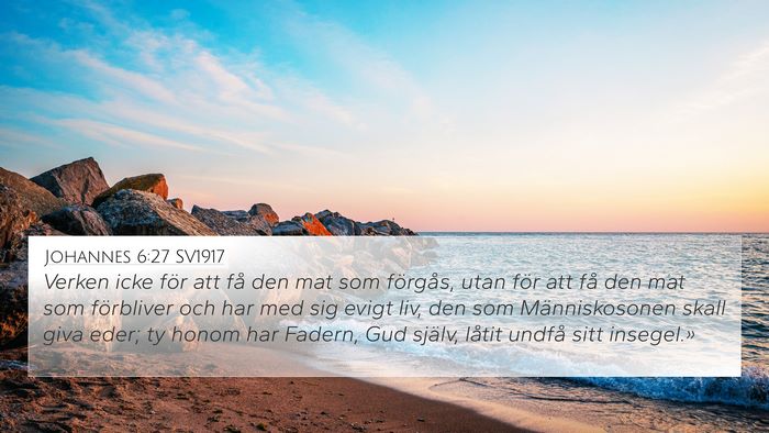 Johannes 6:27 SV1917 Bible Verse Image