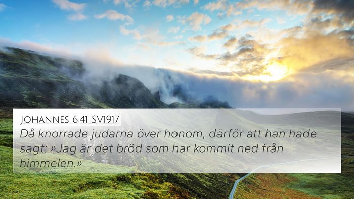 Johannes 6:41 SV1917 Bible Verse Image