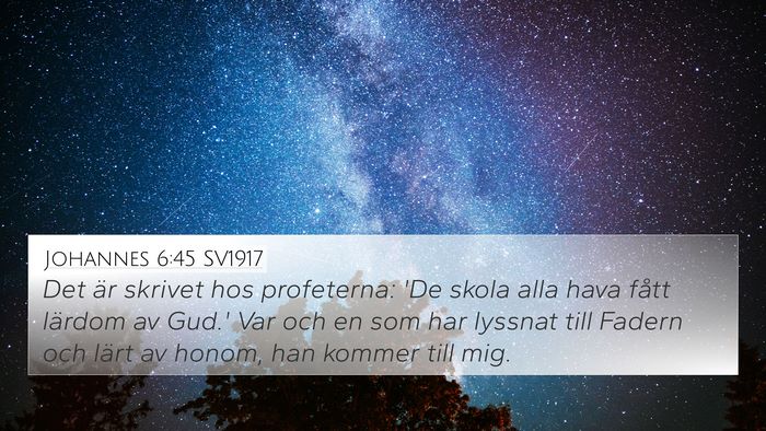 Johannes 6:45 SV1917 Bible Verse Image