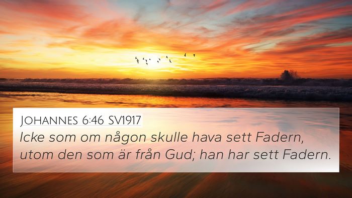 Johannes 6:46 SV1917 Bible Verse Image