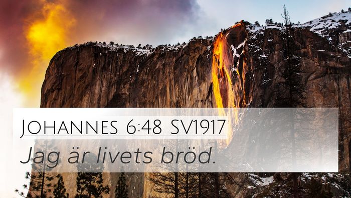 Johannes 6:48 SV1917 Bible Verse Image