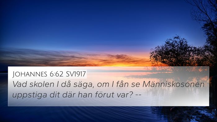 Johannes 6:62 SV1917 Bible Verse Image