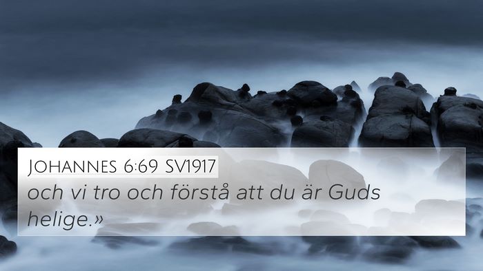 Johannes 6:69 SV1917 Bible Verse Image
