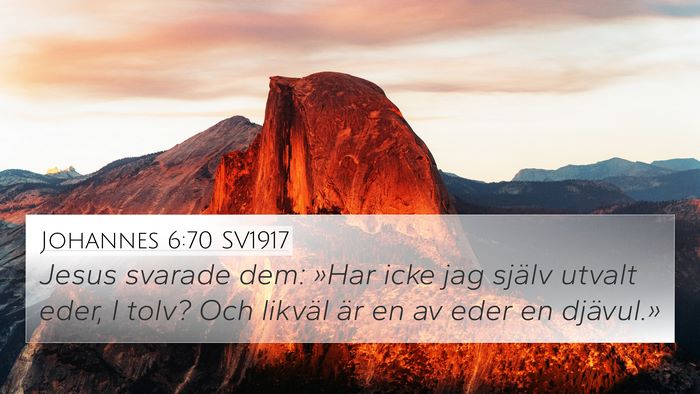 Johannes 6:70 SV1917 Bible Verse Image