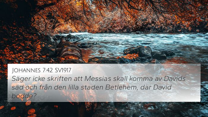 Johannes 7:42 SV1917 Bible Verse Image