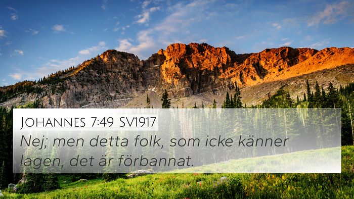 Johannes 7:49 SV1917 Bible Verse Image