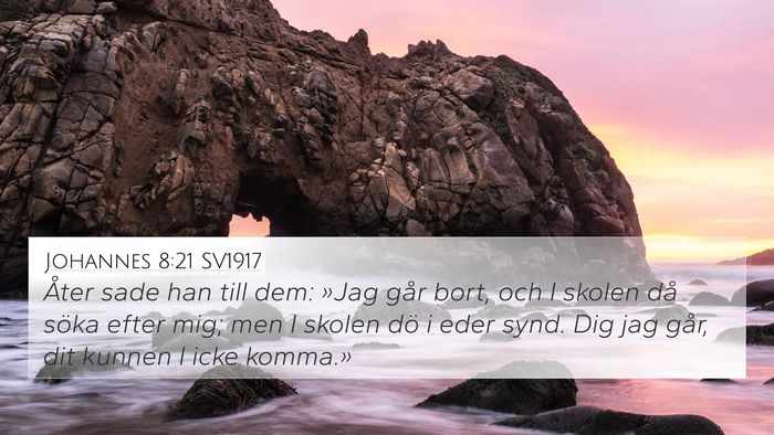 Johannes 8:21 SV1917 Bible Verse Image