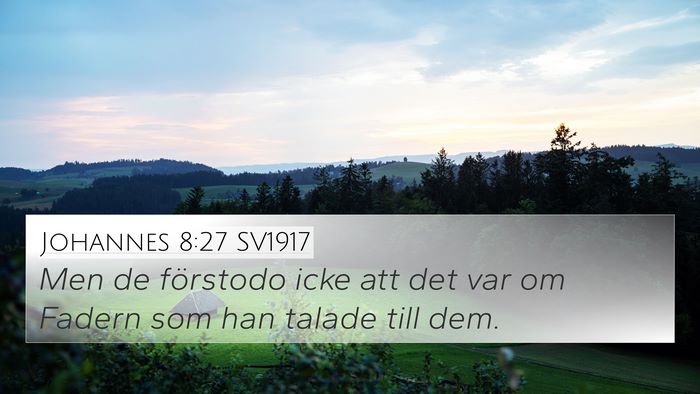 Johannes 8:27 SV1917 Bible Verse Image