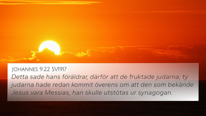 Johannes 9:22 SV1917 Bible Verse Image