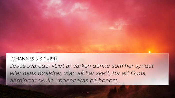 Johannes 9:3 SV1917 Bible Verse Image