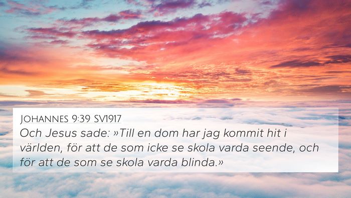 Johannes 9:39 SV1917 Bible Verse Image