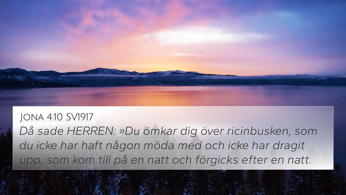 Jona 4:10 SV1917 4K Wallpaper - Då sade HERREN: »Du ömkar dig över - 4K Wallpaper Bible Verse