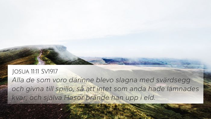 Josua 11:11 SV1917 Bible Verse Image