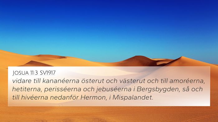 Josua 11:3 SV1917 Bible Verse Image