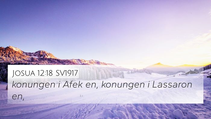 Josua 12:18 SV1917 Bible Verse Image