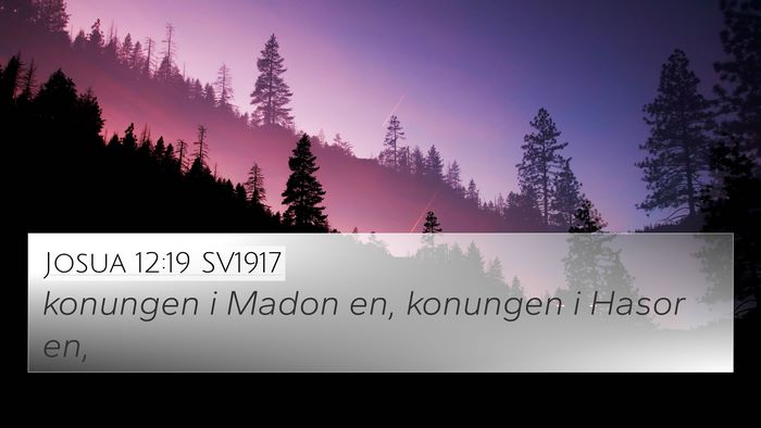 Josua 12:19 SV1917 Bible Verse Image