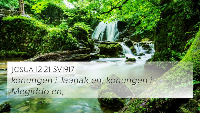 Josua 12:21 SV1917 4K Wallpaper - konungen i Taanak en, konungen i Megiddo - 4K Wallpaper Bible Verse