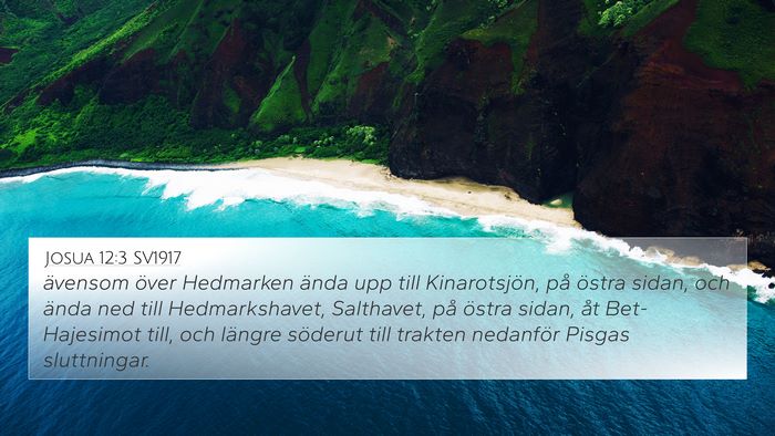 Josua 12:3 SV1917 Bible Verse Image