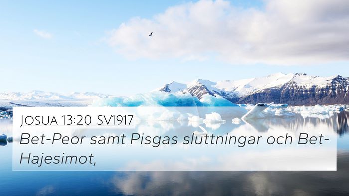 Josua 13:20 SV1917 Bible Verse Image