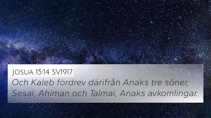 Josua 15:14 SV1917 Bible Verse Image